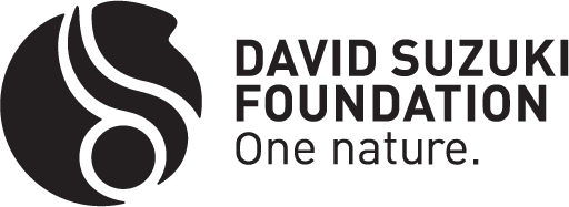 David Suzuki Foundation
