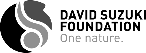David Suzuki Foundation
