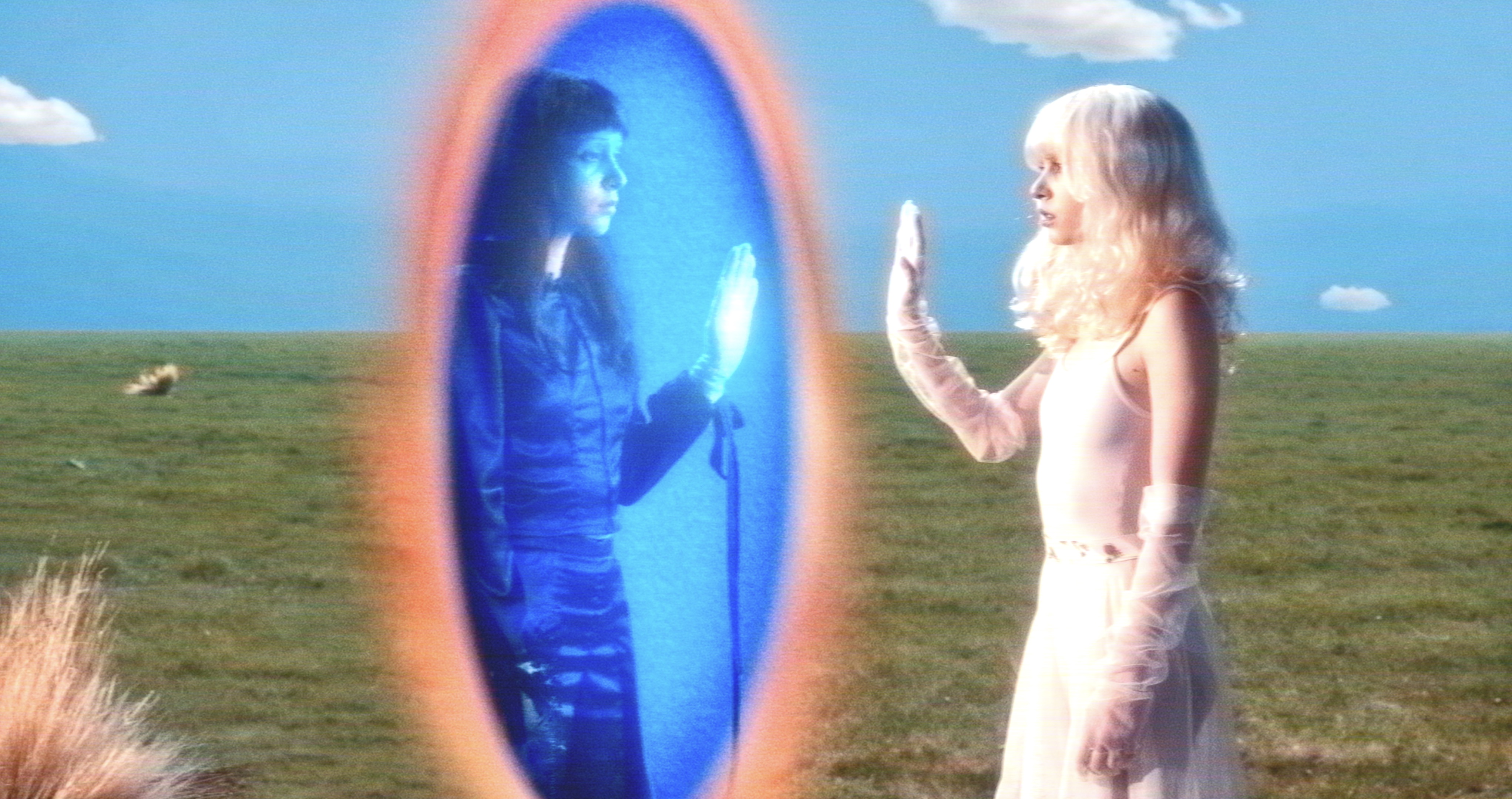Imaginal Disk (photo: Patrick Jones)