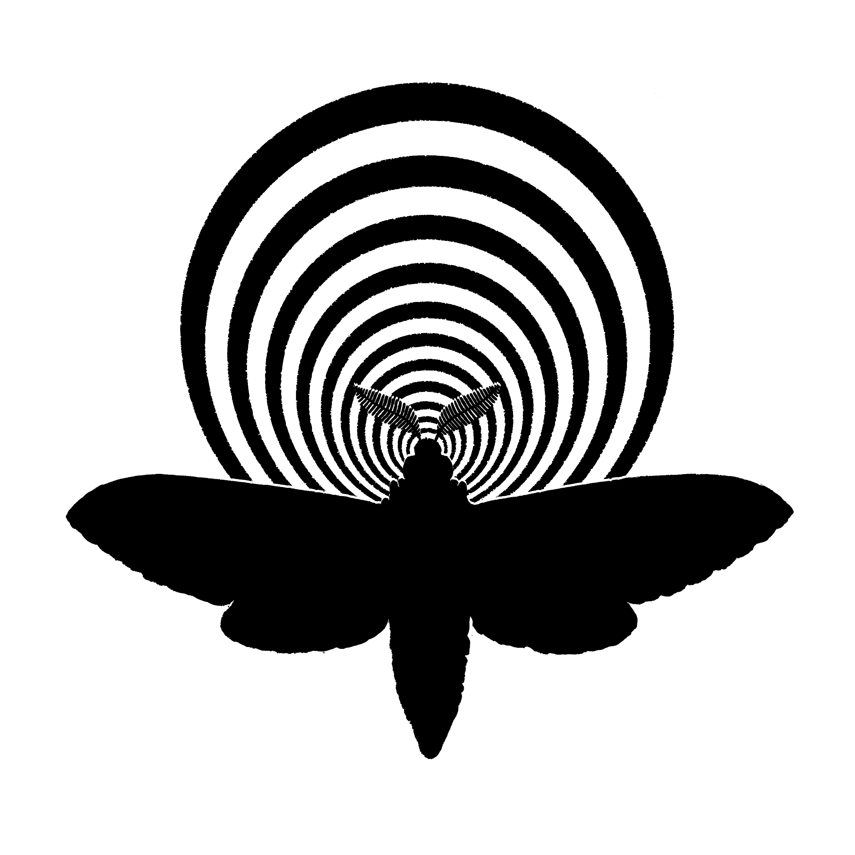 Mothland